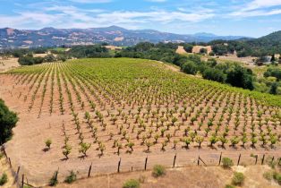 Single Family Residence,  Dutcher Creek road, Cloverdale, CA 95425 - 17