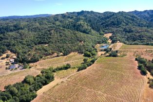 Single Family Residence,  Dutcher Creek road, Cloverdale, CA 95425 - 42