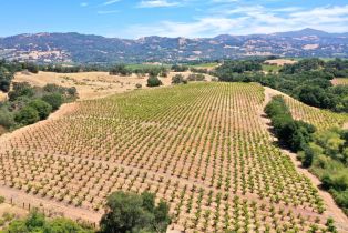 Single Family Residence,  Dutcher Creek road, Cloverdale, CA 95425 - 8