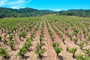 Single Family Residence,  Dutcher Creek road, Cloverdale, CA 95425 - 38