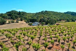 Single Family Residence,  Dutcher Creek road, Cloverdale, CA 95425 - 52