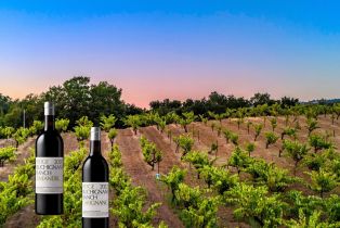 Single Family Residence,  Dutcher Creek road, Cloverdale, CA 95425 - 5