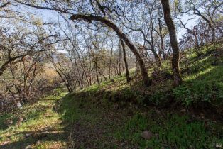 Residential Lot,  Tucker road, Calistoga, CA 94515 - 13