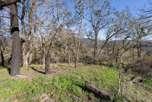 Residential Lot,  Tucker road, Calistoga, CA 94515 - 2