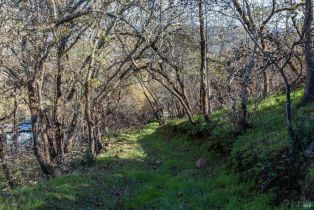 Residential Lot,  Tucker road, Calistoga, CA 94515 - 11