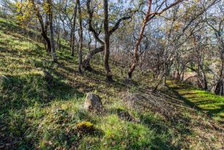 Land, Tucker Rd, Calistoga, CA  Calistoga, CA 94515
