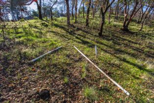 Residential Lot,  Tucker road, Calistoga, CA 94515 - 10