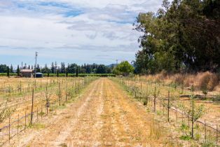 Agriculture,  8th street, Sonoma, CA 95476 - 31