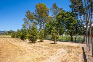 Agriculture,  8th street, Sonoma, CA 95476 - 15