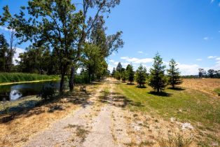 Agriculture,  8th street, Sonoma, CA 95476 - 20