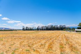 Agriculture,  8th street, Sonoma, CA 95476 - 5