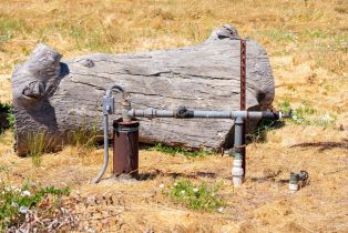 Agriculture,  8th street, Sonoma, CA 95476 - 34