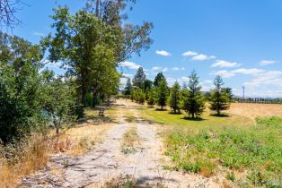 Agriculture,  8th street, Sonoma, CA 95476 - 26