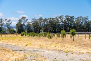 Agriculture,  8th street, Sonoma, CA 95476 - 25