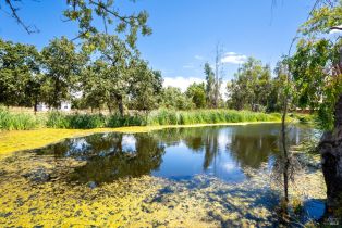 Agriculture,  8th street, Sonoma, CA 95476 - 18