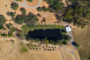 Agriculture,  8th street, Sonoma, CA 95476 - 42