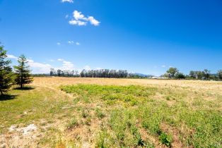 Agriculture,  8th street, Sonoma, CA 95476 - 19