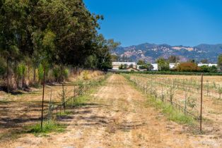 Agriculture,  8th street, Sonoma, CA 95476 - 37