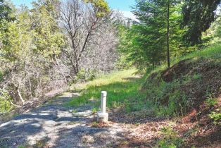 Residential Lot,  Dry Creek road, Healdsburg, CA 95448 - 20