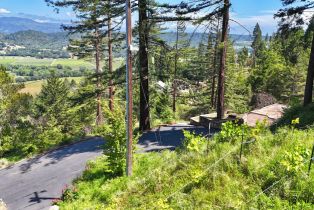 Residential Lot,  Dry Creek road, Healdsburg, CA 95448 - 18