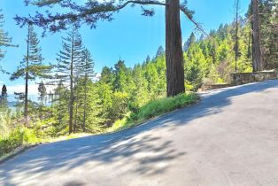 Residential Lot,  Dry Creek road, Healdsburg, CA 95448 - 10