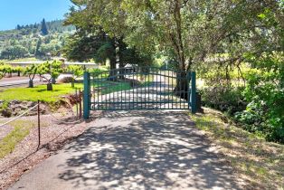 Residential Lot,  Dry Creek road, Healdsburg, CA 95448 - 3