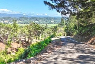 Residential Lot,  Dry Creek road, Healdsburg, CA 95448 - 6