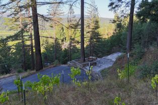 Residential Lot,  Dry Creek road, Healdsburg, CA 95448 - 10