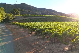 Residential Lot,  Dry Creek road, Healdsburg, CA 95448 - 12