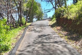 Residential Lot,  Dry Creek road, Healdsburg, CA 95448 - 9