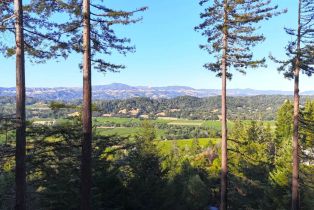 Residential Lot,  Dry Creek road, Healdsburg, CA 95448 - 5