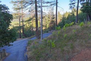 Residential Lot,  Dry Creek road, Healdsburg, CA 95448 - 11