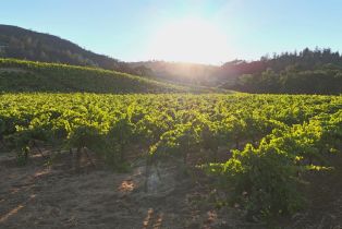 Residential Lot,  Dry Creek road, Healdsburg, CA 95448 - 13