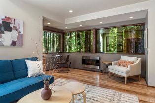 Single Family Residence,  Ridge road, Sea Ranch, CA 95497 - 23