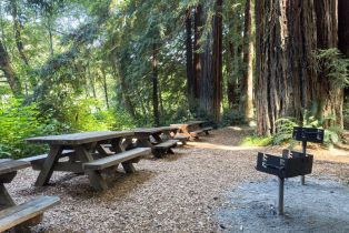 Single Family Residence,  Ridge road, Sea Ranch, CA 95497 - 49