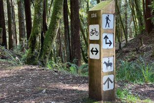 Single Family Residence,  Ridge road, Sea Ranch, CA 95497 - 44