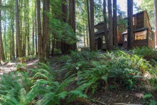 Single Family Residence,  Ridge road, Sea Ranch, CA 95497 - 41
