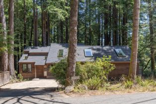 Single Family Residence,  Ridge road, Sea Ranch, CA 95497 - 2