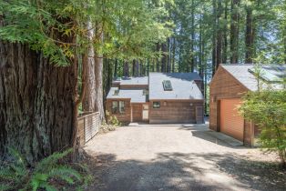 Single Family Residence,  Ridge road, Sea Ranch, CA 95497 - 3