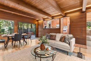 Single Family Residence,  Ridge road, Sea Ranch, CA 95497 - 17
