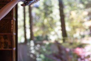 Single Family Residence,  Ridge road, Sea Ranch, CA 95497 - 26