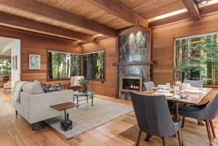 Single Family Residence,  Ridge road, Sea Ranch, CA 95497 - 15