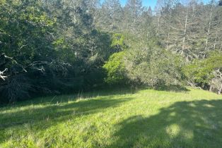Residential Lot,  Wikiup drive, Santa Rosa, CA 95403 - 8