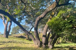 Residential Lot,  Wikiup drive, Santa Rosa, CA 95403 - 6