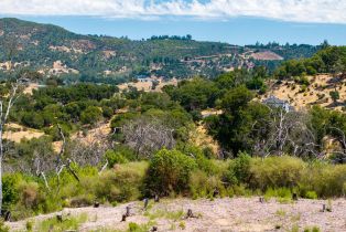 Residential Lot,  Silver Fox court, Santa Rosa, CA 95403 - 15