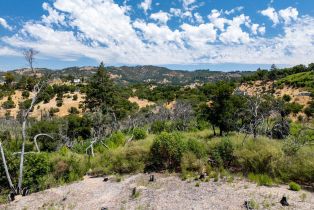 Residential Lot,  Silver Fox court, Santa Rosa, CA 95403 - 14