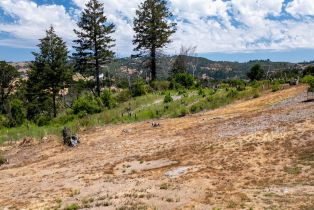 Residential Lot,  Silver Fox court, Santa Rosa, CA 95403 - 16