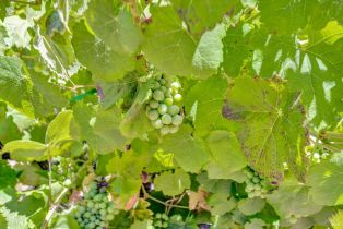 Single Family Residence,  Lawndale road, Kenwood, CA 95452 - 32