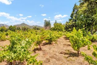 Single Family Residence,  Lawndale road, Kenwood, CA 95452 - 31