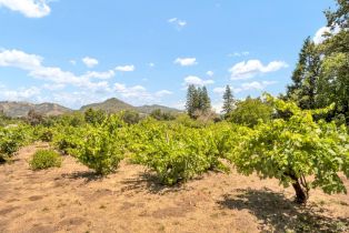 Single Family Residence,  Lawndale road, Kenwood, CA 95452 - 30